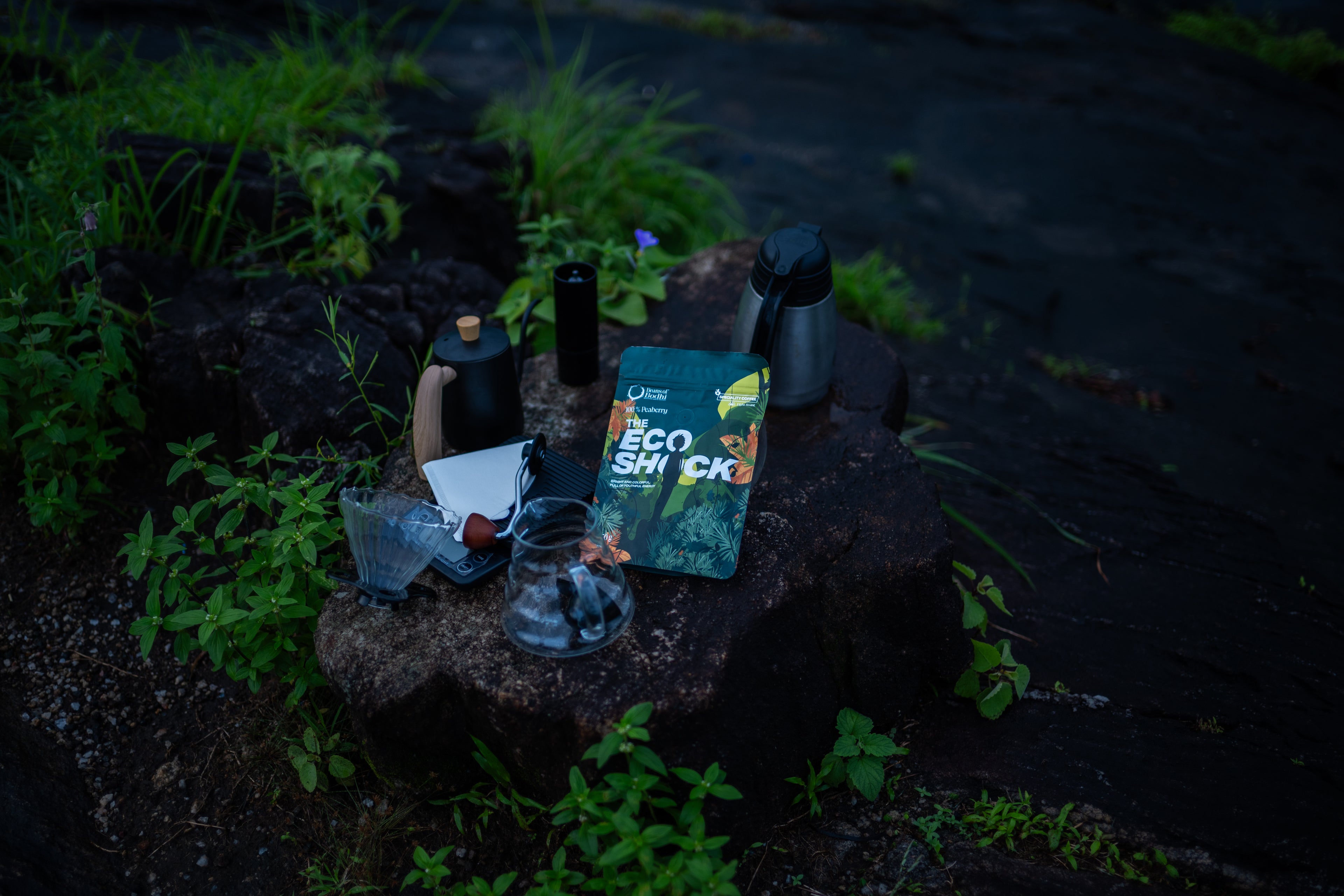 The Eco Shock